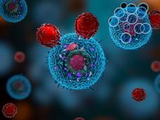 “Oncometabolite” Neutralizes Immune Cells Near Tumors